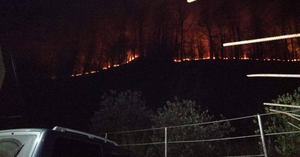Пламя распространилось у горы Пикет в Сочи
