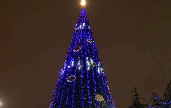 На новогодние праздники парки Ростова будут работать до 22:00