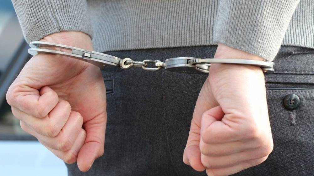 Полиция Петербурга задержала насильника восьмилетней девочки