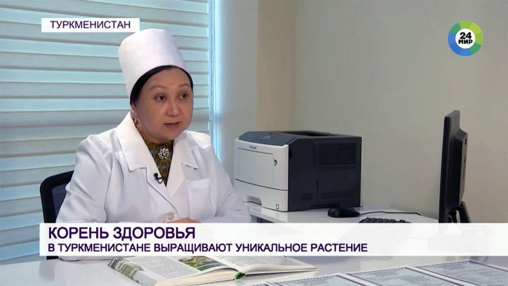 Телеканал «МИР24» рассказал об использовании солодки для лечения коронавируса (видео)