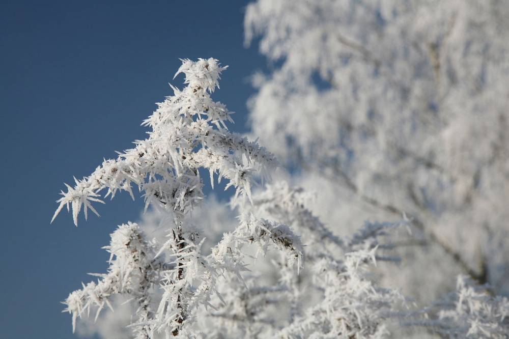 По Украине ударят сильные морозы и снегопады