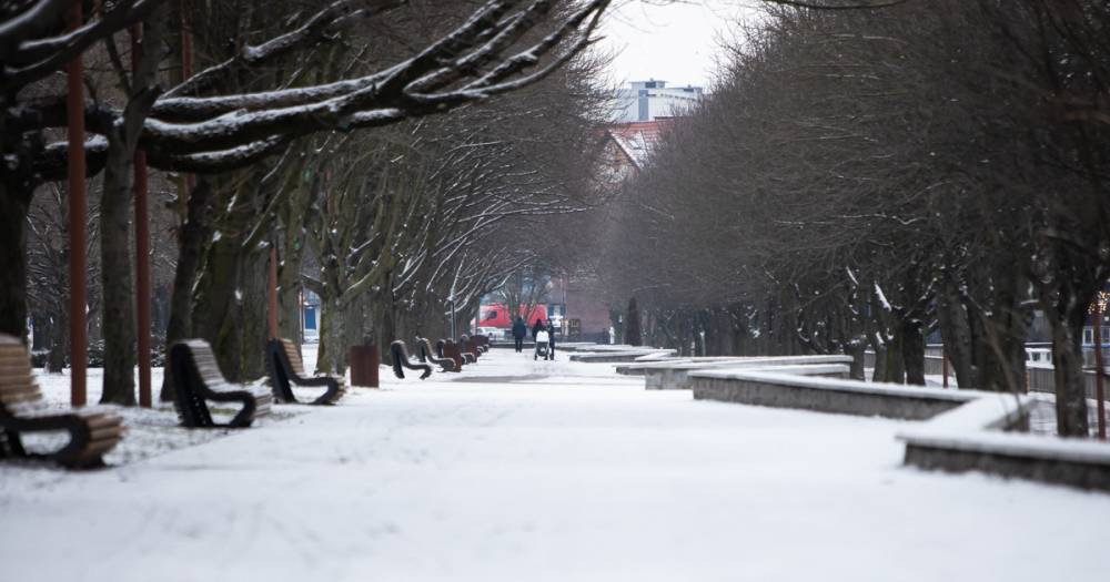 В Калининградской области 12 января ожидаются гололёд и усиление ветра