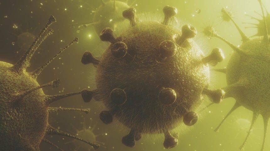 «Ждем с нетерпением»: Гинцбург предсказал «российский» штамм коронавируса