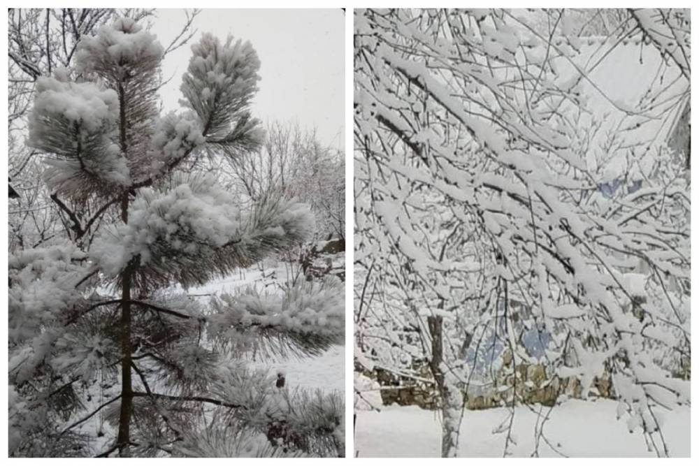 Одесскую область засыпало снегом: кадры зимних пейзажей