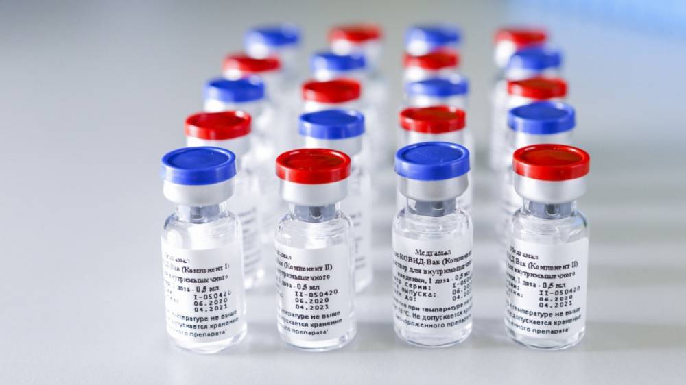 Гинцбург отправит запрос на испытание вакцины "Спутник V" на детях