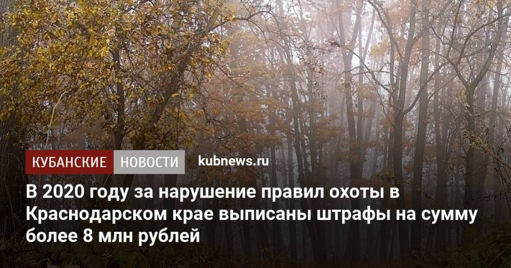 В 2020 году за нарушение правил охоты в Краснодарском крае выписаны штрафы на сумму более 8 млн рублей
