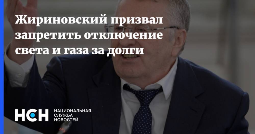 Жириновский призвал запретить отключение света и газа за долги