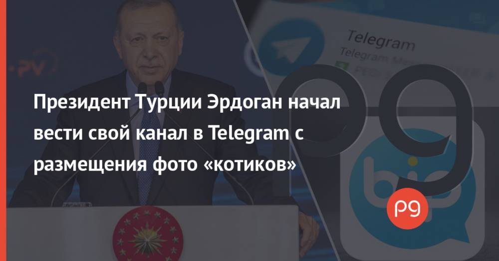 Президент Турции Эрдоган начал вести свой канал в Telegram с размещения фото «котиков»