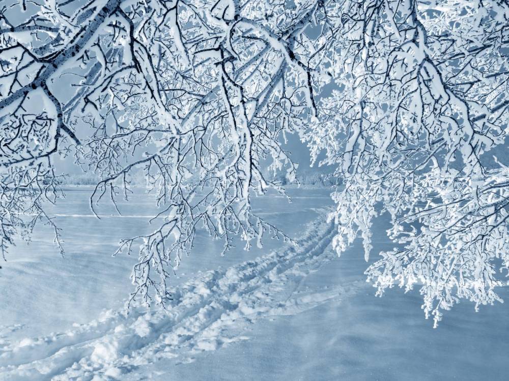 Украину засыпало снегом, лед и метели