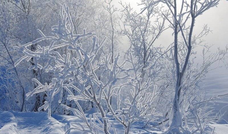Морозы в Оренбургской области стали причиной отмены школьных занятий