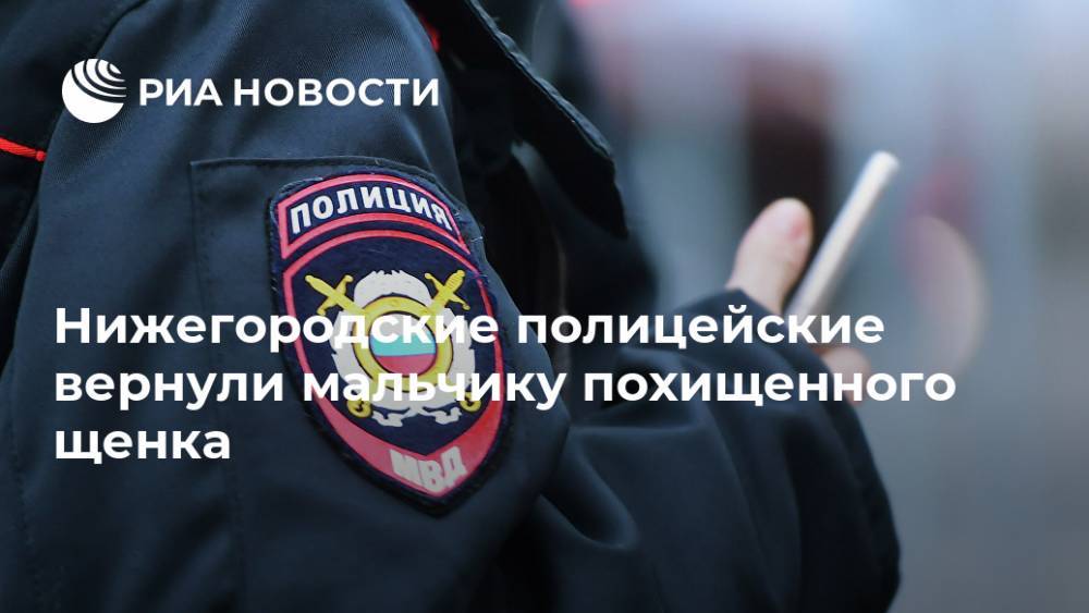 Нижегородские полицейские вернули мальчику похищенного щенка