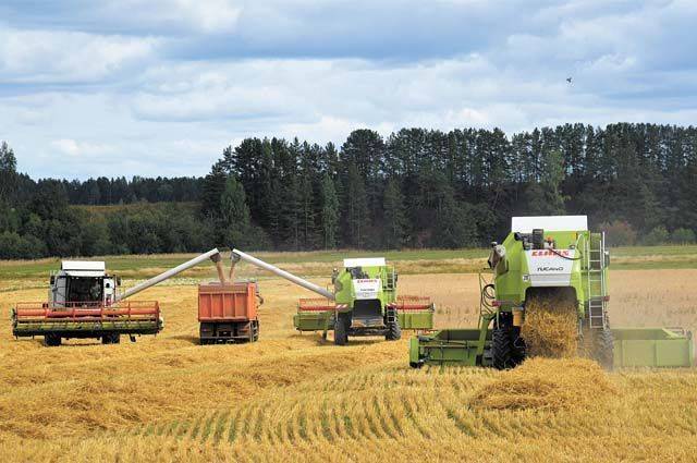 РФ может поставить новый рекорд по сбору пшеницы по итогам 2020 года