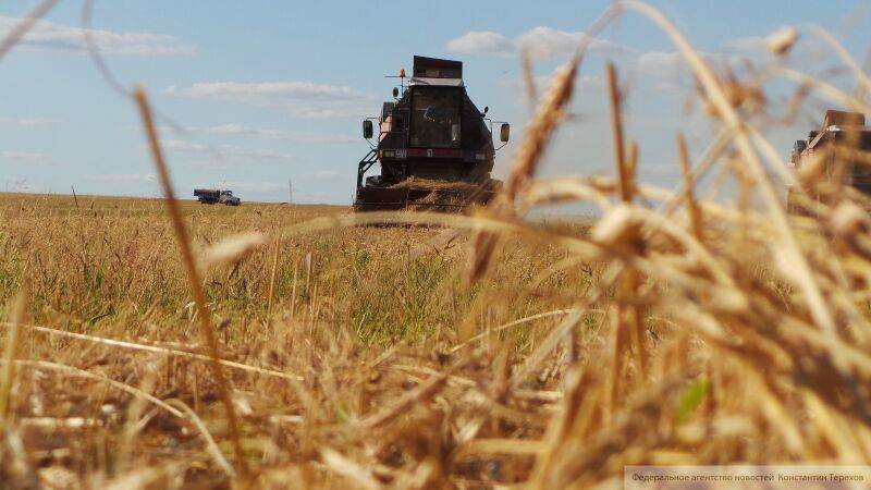 Bloomberg сообщил о ведущей роли РФ в росте мировых цен на пшеницу