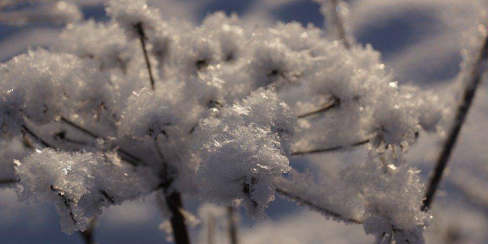 Прогноз погоды: в ближайшие дни в Украину придут морозы до -23 и снег