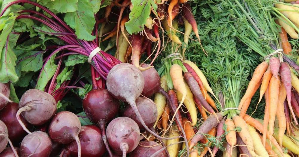 В Украине растут оптовые цены на морковь и столовую свеклу: сколько стоят овощи