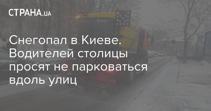 Снегопал в Киеве. Водителей столицы просят не парковаться вдоль улиц
