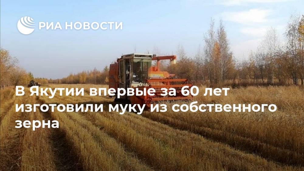 В Якутии впервые за 60 лет изготовили муку из собственного зерна