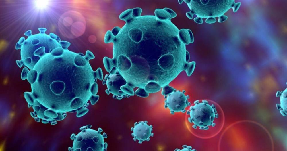 В Китае заявили, что нашли коронавирус в сыворотке из Украины