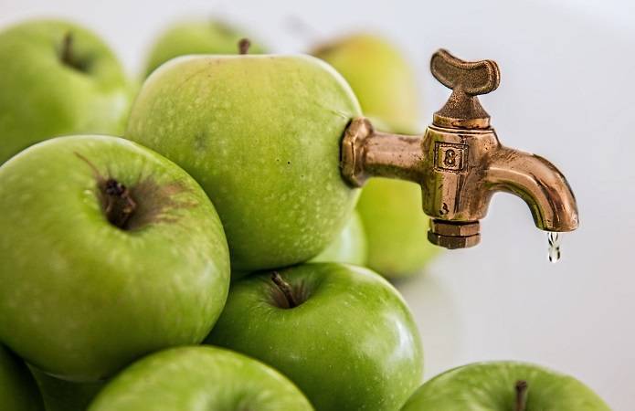 Производитель: Переработка яблок удваивает доход