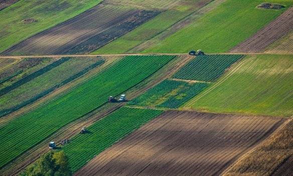 Ковалев: За последние два месяца в Херсонской области было украдено у общин около 2000 тысяч гектаров земли