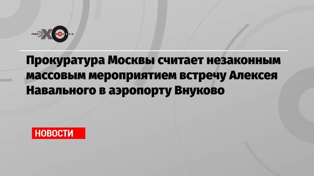 Прокуратура Москвы считает незаконным массовым мероприятием встречу Алексея Навального в аэропорту Внуково