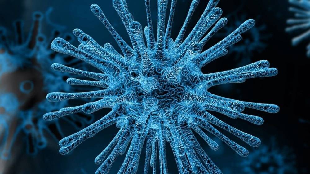 Вирусолог центра Гамалеи оценил опасность мутаций коронавируса