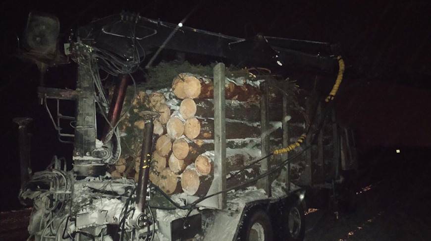 Водитель лесовоза оставил без электричества жителей деревни в Брестском районе