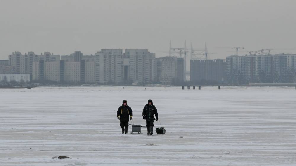 Отклонение температуры от нормы на 10 градусов зафиксировано в Петербурге