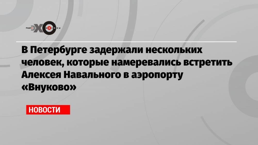 В Петербурге задержали нескольких человек, которые намеревались встретить Алексея Навального в аэропорту «Внуково»