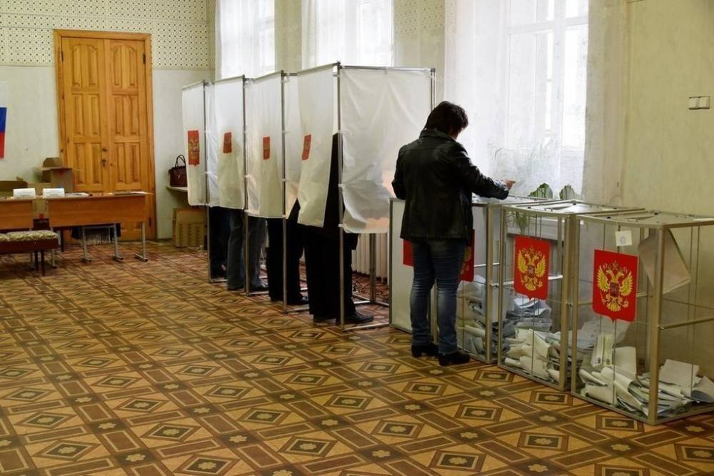 На выборах в Нерехтском районе Костромской области явка составила более 8 процентов