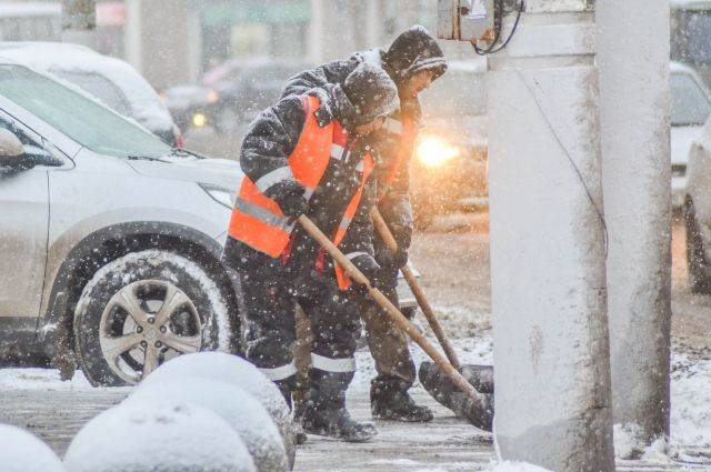 Россияне из-за снежной зимы стали чаще покупать лопаты и снегоочистители