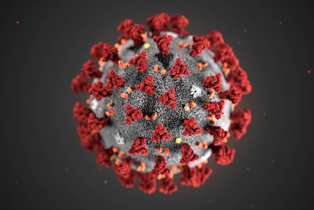 4 742 случая коронавируса подтверждено в Сосновом Бору с начала пандемии