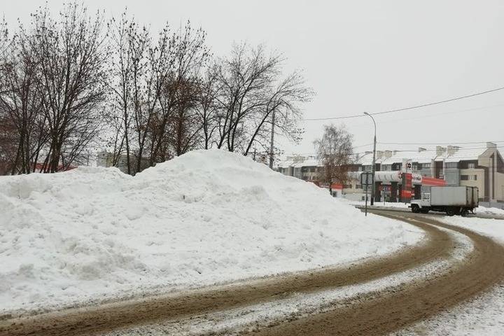 Уборка снега в Тамбове будет проходить по секторам