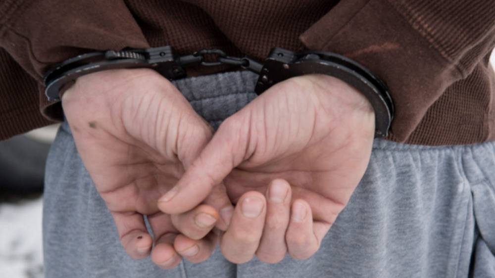 Полиция задержала пьяного угонщика иномарки в Ленобласти