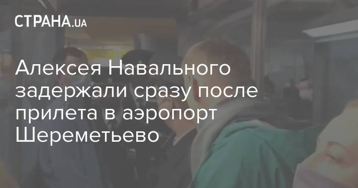 Алексея Навального задержали сразу после прилета в аэропорт Шереметьево