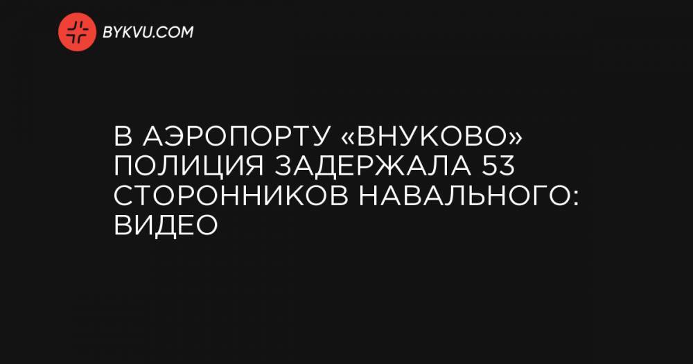 В аэропорту «Внуково» полиция задержала 53 сторонников Навального: видео
