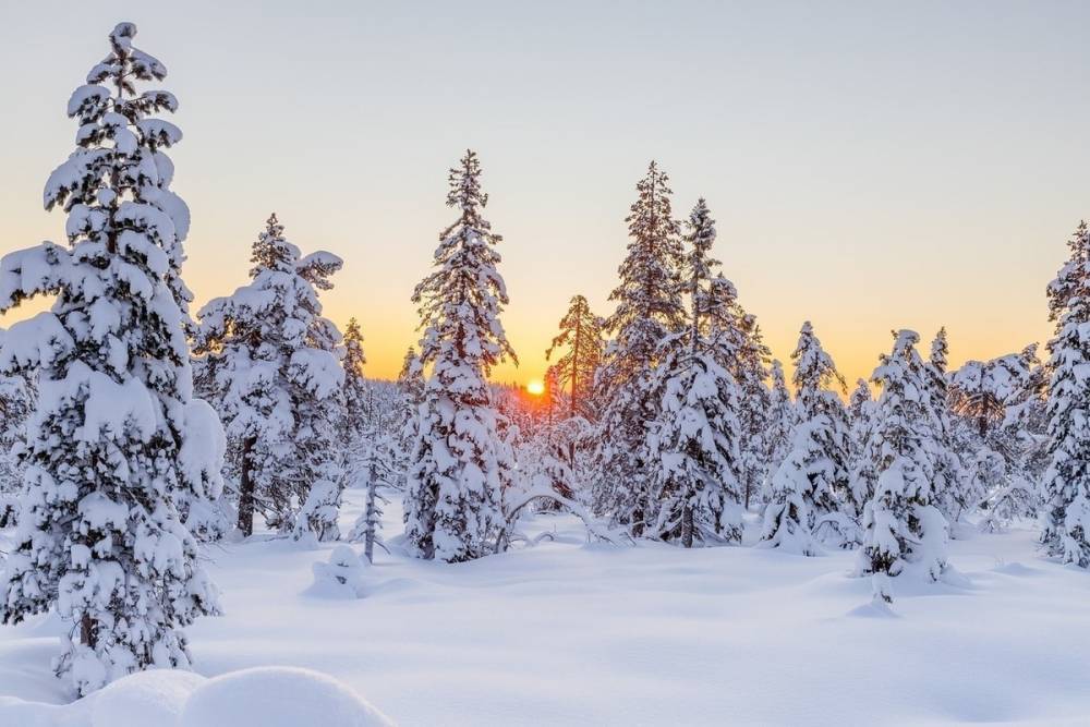 Потепление до -5 градусов ожидается в Томской области в понедельник