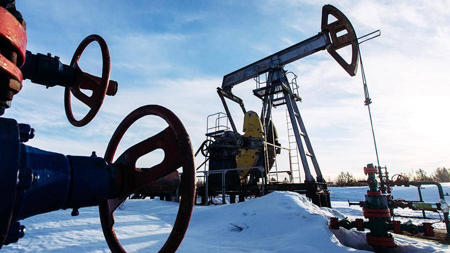 Путин поручил рассмотреть увеличение финансирования проектов нефтегазохимии