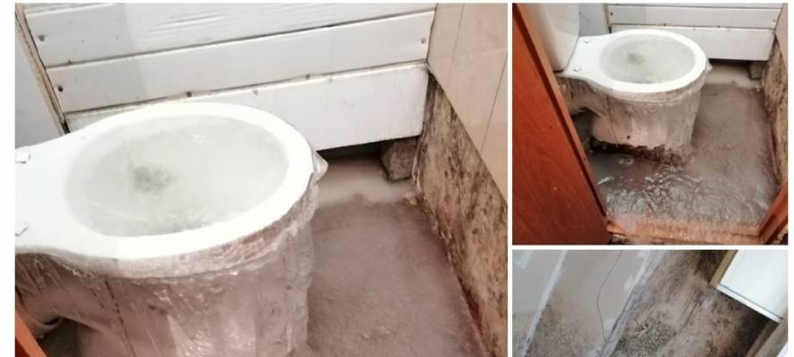 Масштабный потоп случился в туалете разваливающегося дома в Петрозаводске (ФОТО)