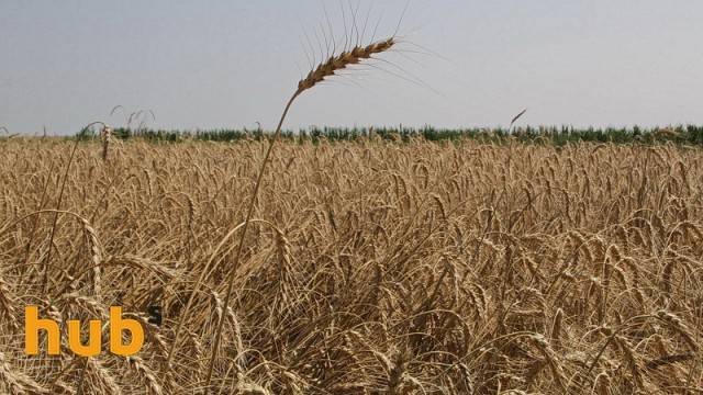 Сельхозпроизводство в Украине в 2020г упало