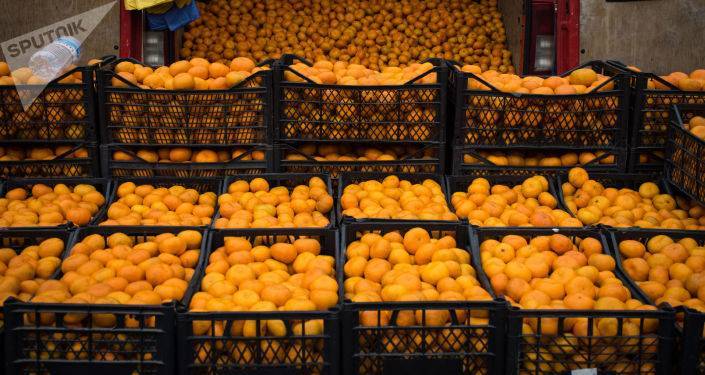 Экспорт грузинских мандаринов увеличился на 22%