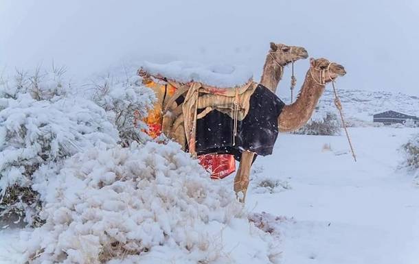 Невероятно но факт: Сахару засыпало снегом (шокирующие кадры)