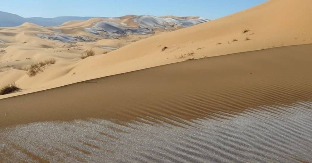 В пустыне Сахаре неожиданно выпал снег, дюны покрылись инеем (фото)