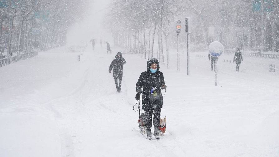 Жителей Центральной России предупредили об обильных снегопадах