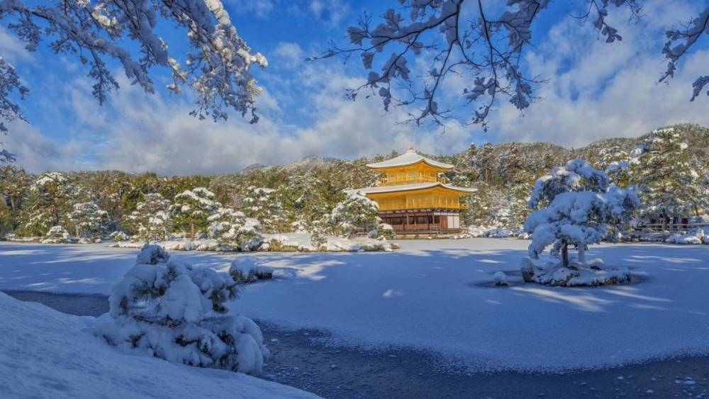 Уборка снега закончилась смертью для 60 японцев