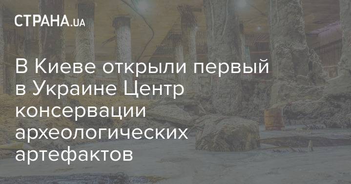 В Киеве открыли первый в Украине Центр консервации археологических артефактов