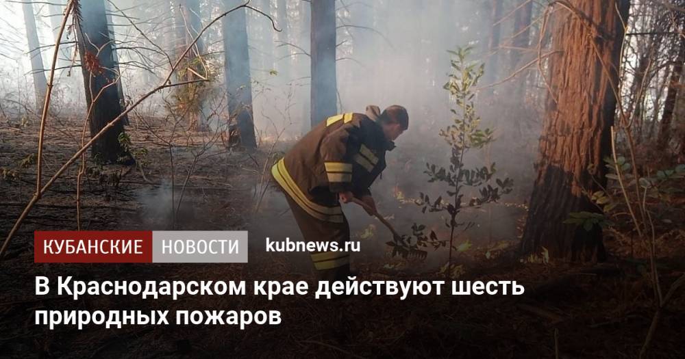 В Краснодарском крае действуют шесть природных пожаров