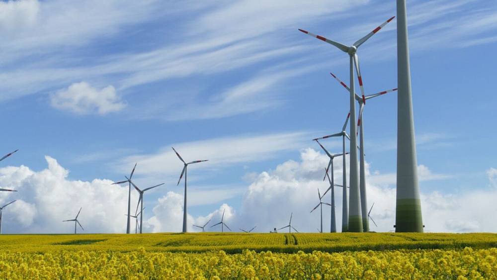 Саудовская компания построит ветряную электростанцию в Азербайджане