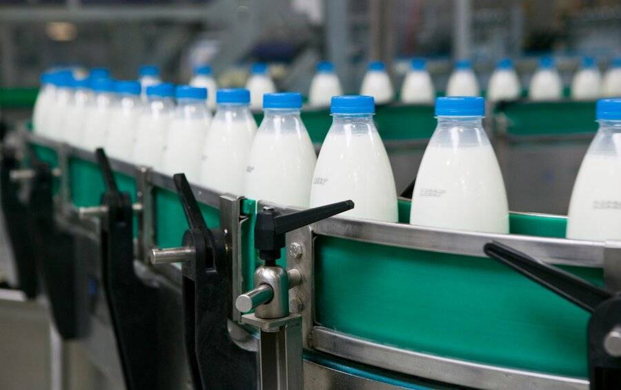 Добровольная маркировка молочных продуктов стартует в РФ