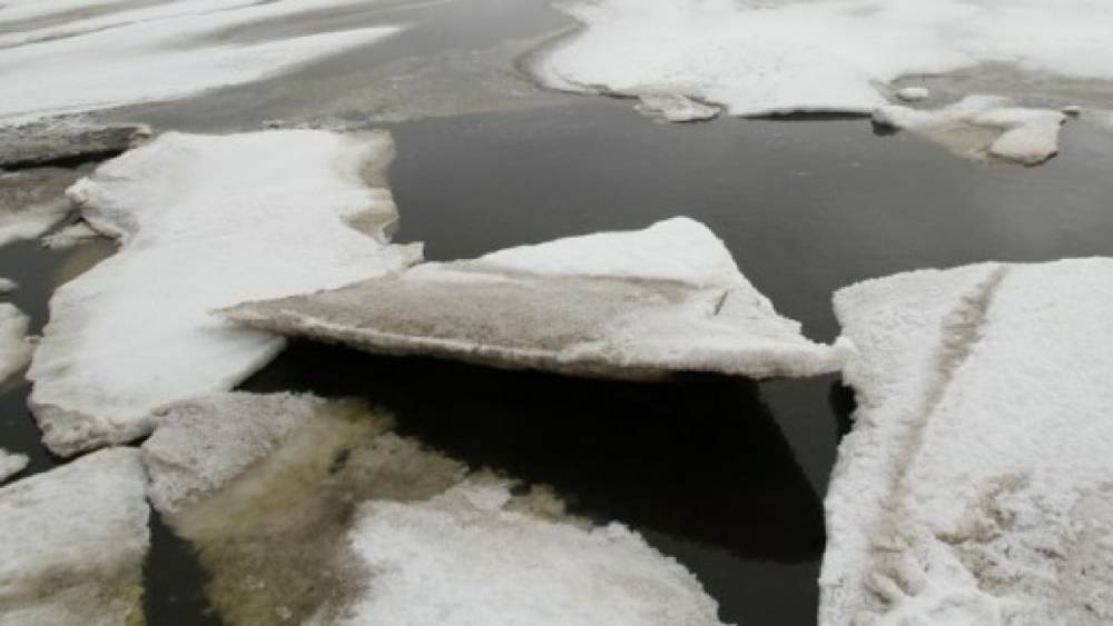 Оторвавшаяся льдина унесла в Охотское море восемь рыбаков